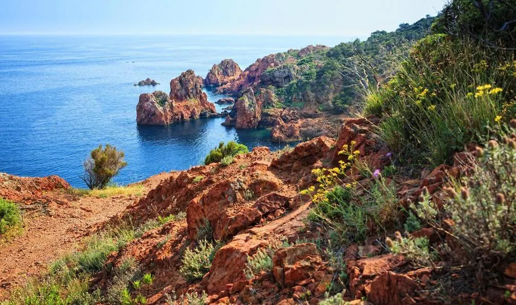 Studio Renove Avec Terrasse St Raphael Saint-Raphael